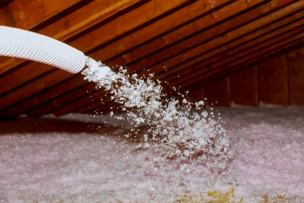 Best Eco-Friendly Insulation in Byhalia, MS
