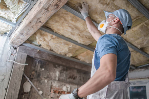 Best Eco-Friendly Insulation in Byhalia, MS