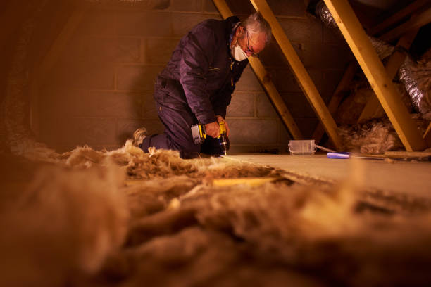 Best Geographic-Specific Insulation Services in Byhalia, MS